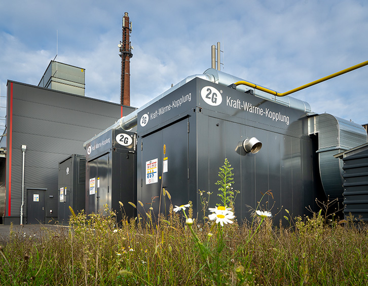 Containerized biogas energy unit